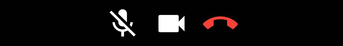 screenshot of the app showing a container with three buttons: mic mute, camera mute and endcall